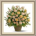 Four Seasons Floral Bridal & Balloons, 108 E Main St, Chanute, KS 66720, (620)_431-9550